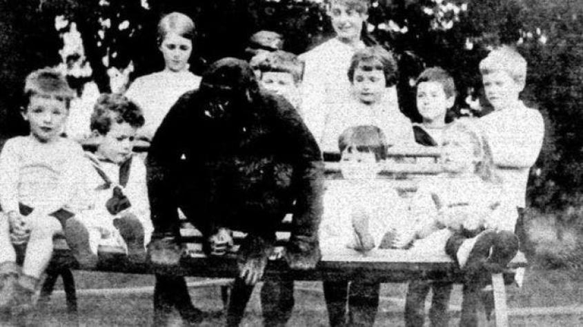 La singular vida de John Daniel, el gorila que iba a la escuela como todos los otros niños