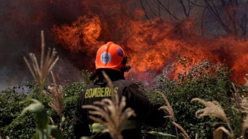 "Es como el infierno de Dante": el drama de los voraces incendios que Chile no logra sofocar