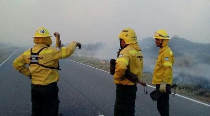 Más de 140 mil hectáreas se han quemado en Argentina debido a incendios forestales