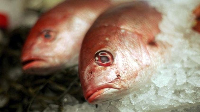 ¿Por qué comer pescado puede ser menos saludable con el aumento de las temperaturas en el planeta?