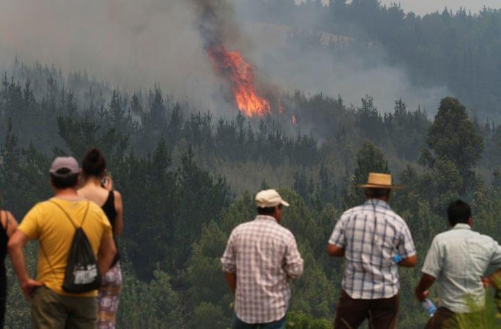 Conaf por emergencia forestal: "En general estamos logrando contener y controlar los incendios"