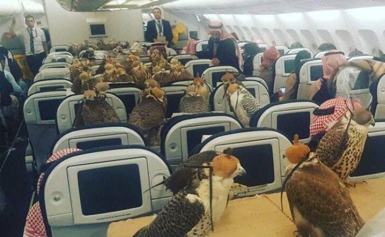 La foto de 80 halcones de un príncipe saudí en un avión se vuelve viral