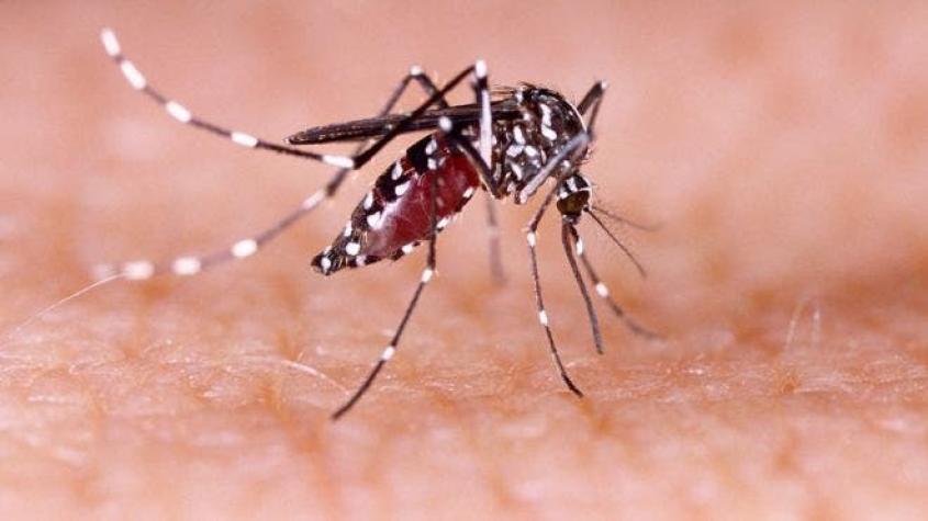 Primer caso en México de microcefalia ligado al virus del Zika