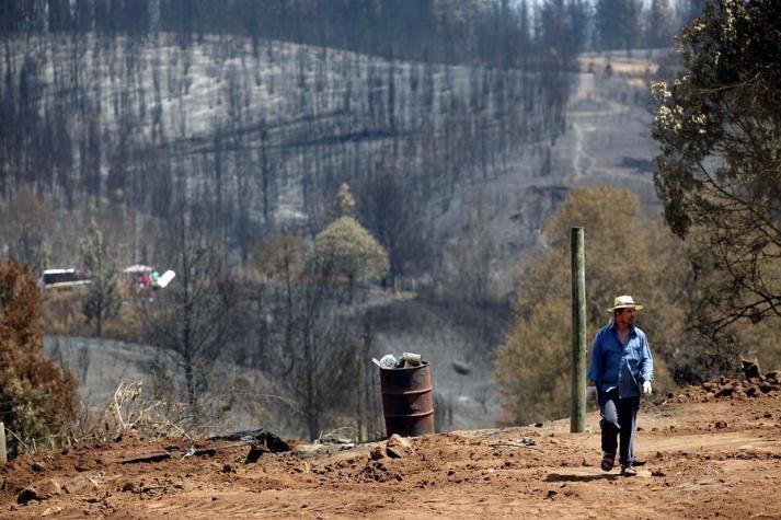 Incendios forestales: pérdidas del sector silvoagropecuario alcanzarían los US$400 millones