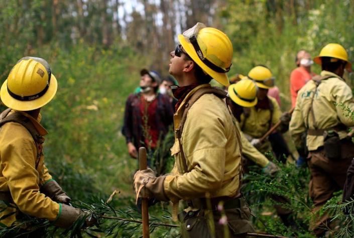 Conaf Araucanía reitera prohibición al uso de fuego en las 9 Áreas Silvestres Protegidas