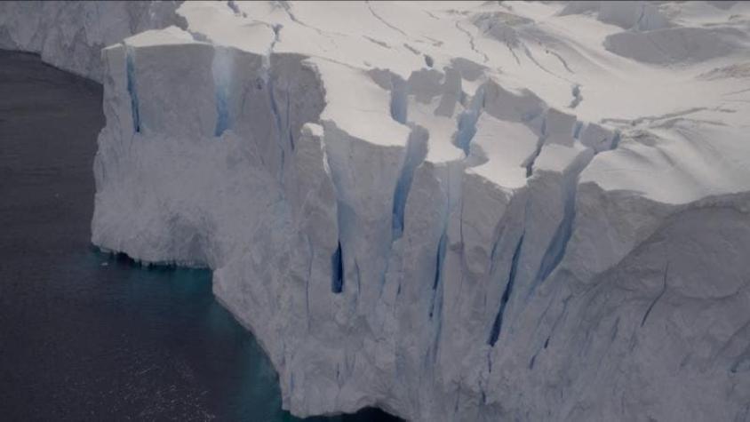 [VIDEO] El dramático avance de la grieta antártica alerta a científicos