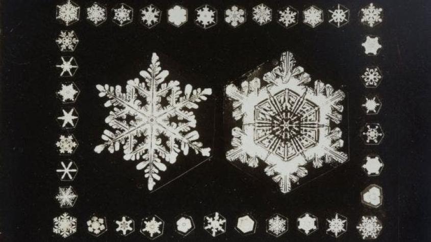 Estadounidense obsesionado con la nieve que tomó fotografías microscópicas de copos
