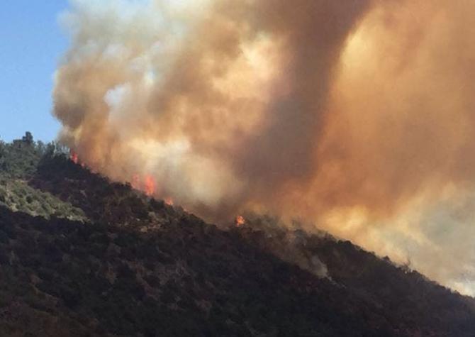 Onemi declara alerta roja para Machalí por incendio forestal