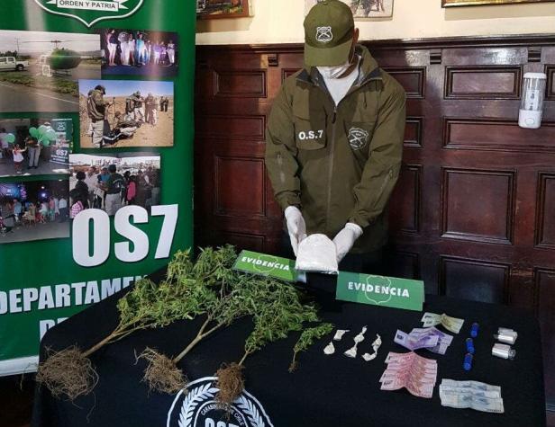 OS-7 incauta 72 mil dosis de marihuana en la región de Valparaíso