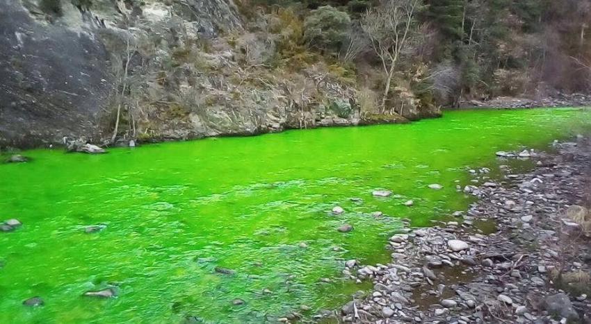 Las aguas de un río español se vuelven verde fosforescente y causan inquietud