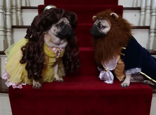 [VIDEO] "La Bella y la Bestia" cuenta con un tierno tráiler interpretado por perros