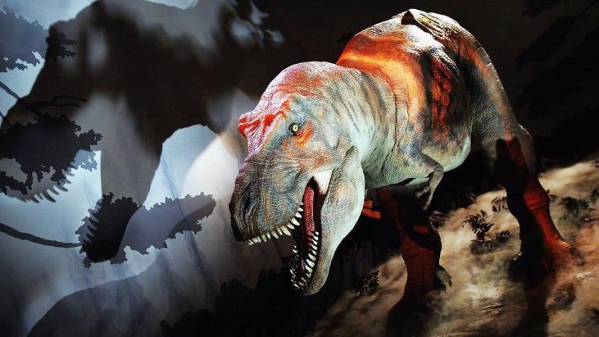 El desconocido lado sensible de Tiranosaurio rex, uno de los dinosaurios más feroces del planeta