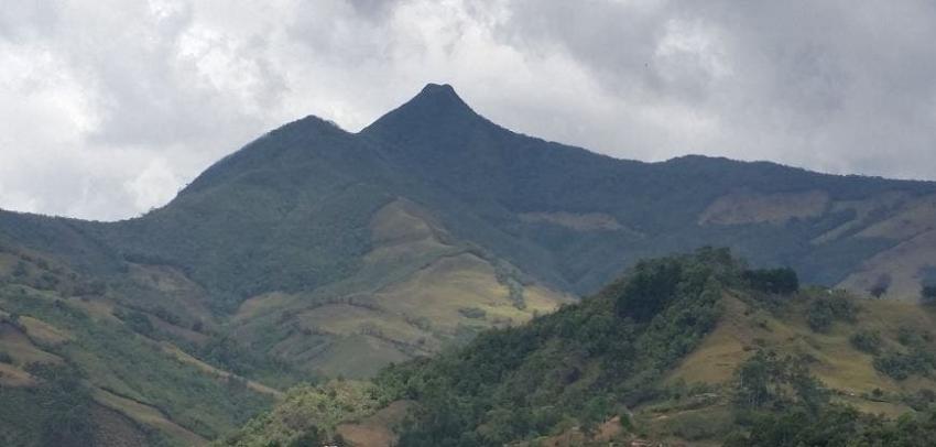 Carabineros rescata a extraviados en Cerro Marmolejo