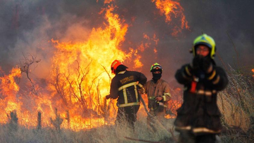 Formalizan a ejecutivos de CGE por origen de incendios en región de O'Higgins