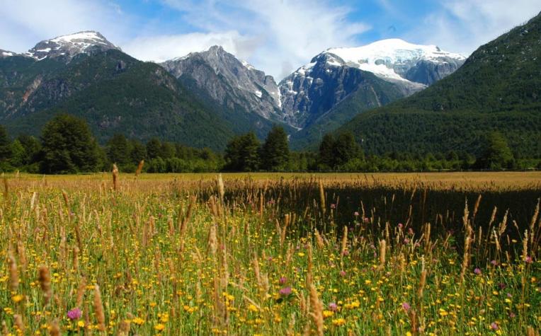 Consejo de ministros de la Sustentabilidad aprueba creación de Red de Parques de la Patagonia