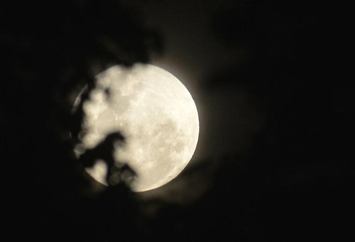 ¿Qué es la "Luna llena rosa" que se verá esta noche en Chile?