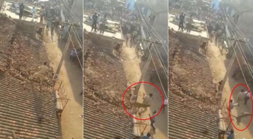 [VIDEO] Policía salta al vacío para salvarse de feroz ataque de leopardo
