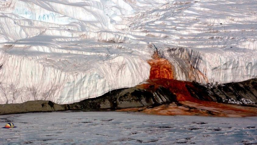 Resuelven el misterio de las Cascadas de Sangre de la Antártida