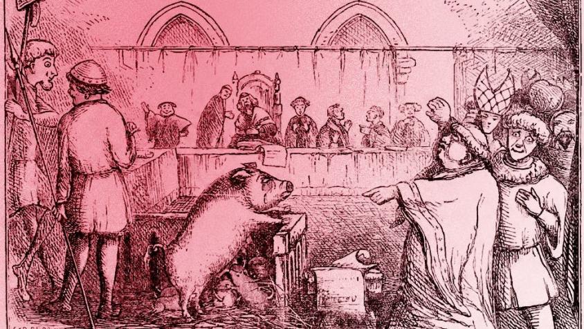 Por qué durante siglos en Europa hubo juicios contra cerdos y ratas