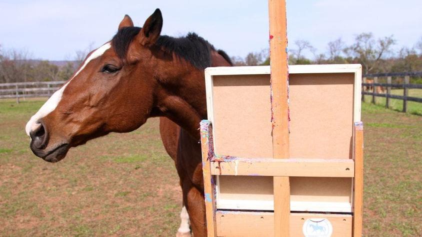 El caballo que salvó su vida aprendiendo a pintar