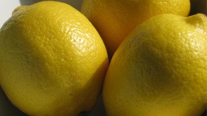 Por qué Estados Unidos no quiso comprarle limones a Argentina por 16 años y ahora sí lo hará