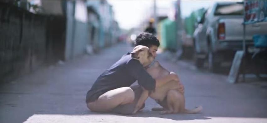 [VIDEO] Joven le da “el primer abrazo” a perros callejeros y sus reacciones son impagables