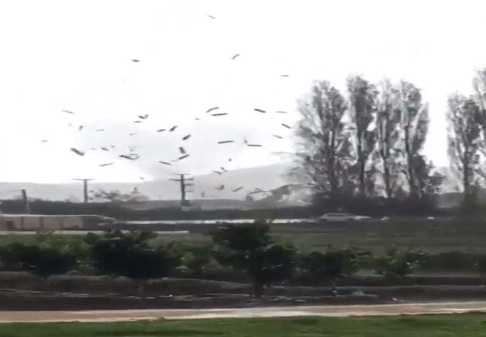 Inusual "semi tornado" provoca cortes de luz y daños en Quillota