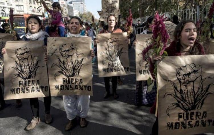 Chile se suma a la protesta mundial contra Monsanto