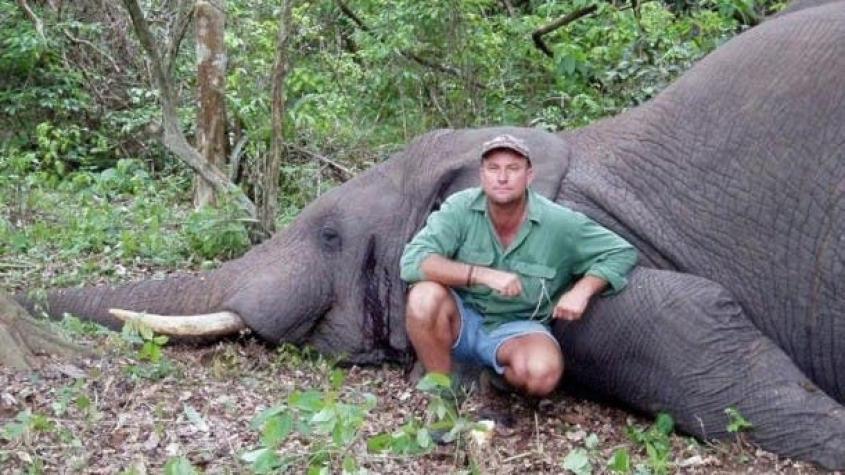 Cazador sudafricano muere aplastado por elefante luego de dispararle a sus crías