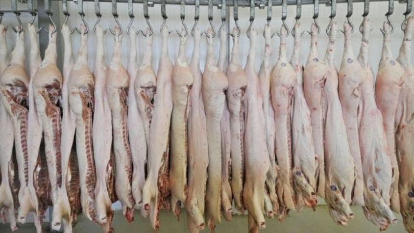 SAG cierra importación de carne desde Colombia