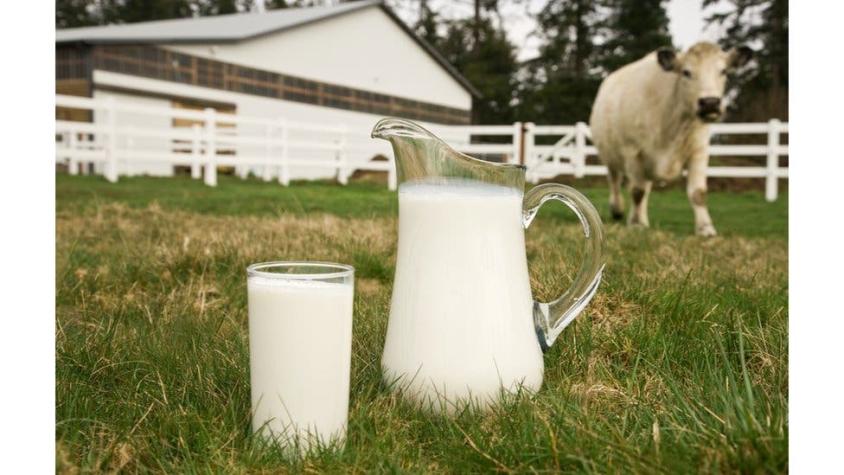 La leche orgánica no tan buena para el medio ambiente como se dice y otras cosas que no sabes