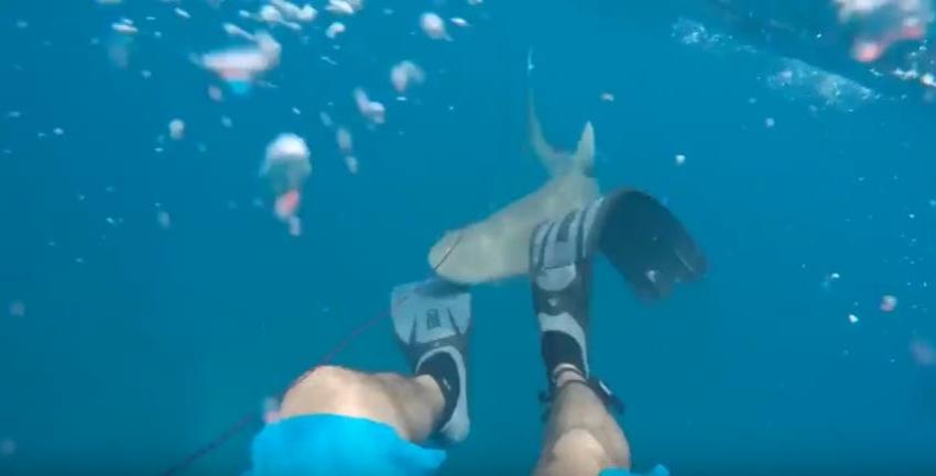[VIDEO] El aterrador momento en que un tiburón muerde a un pescador en Florida