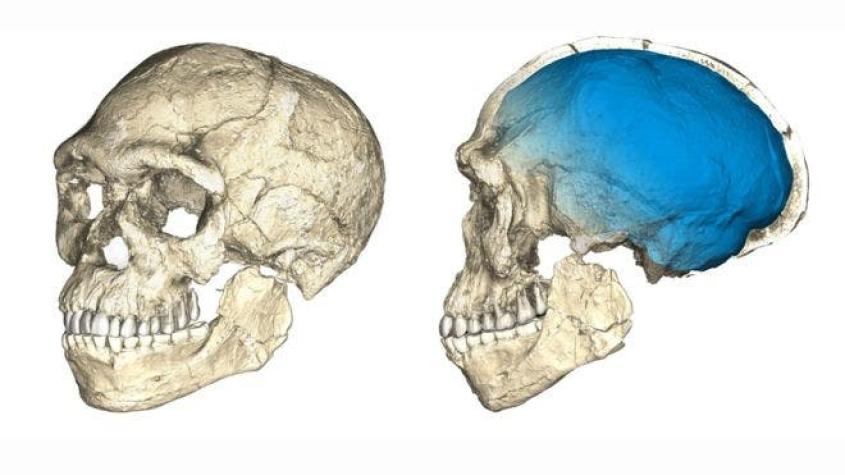 El fascinante hallazgo del primer Homo sapiens que "reescribe" lo que se sabe del origen humano