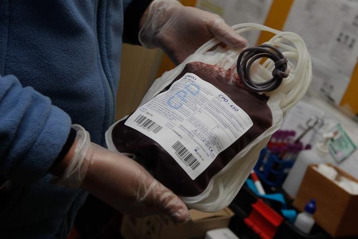 Los 10 mitos y verdades sobre la donación de sangre
