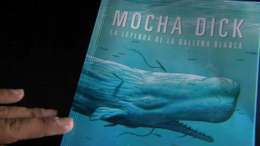 [VIDEO] Mocha Dick: La leyenda chilena de la ballena albina