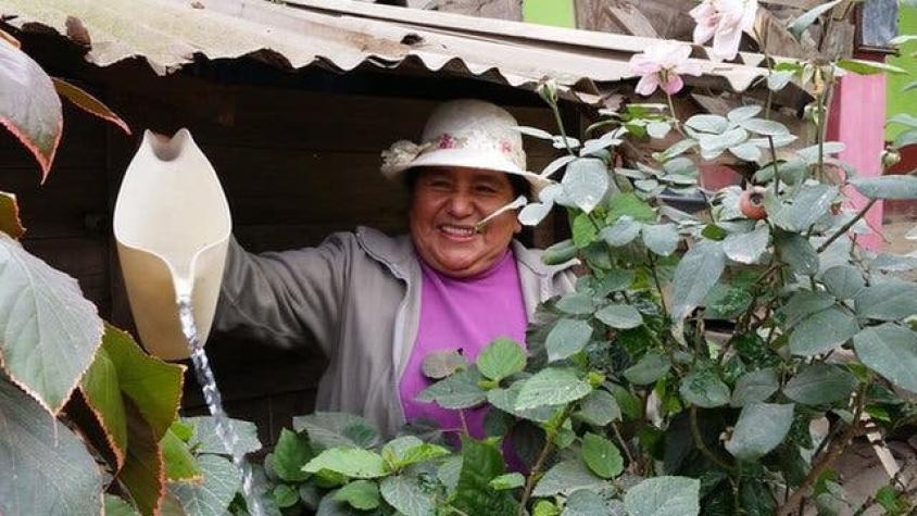 Cómo unos humildes jardines mejoraron la salud de los vecinos de una zona desértica de Lima en Perú