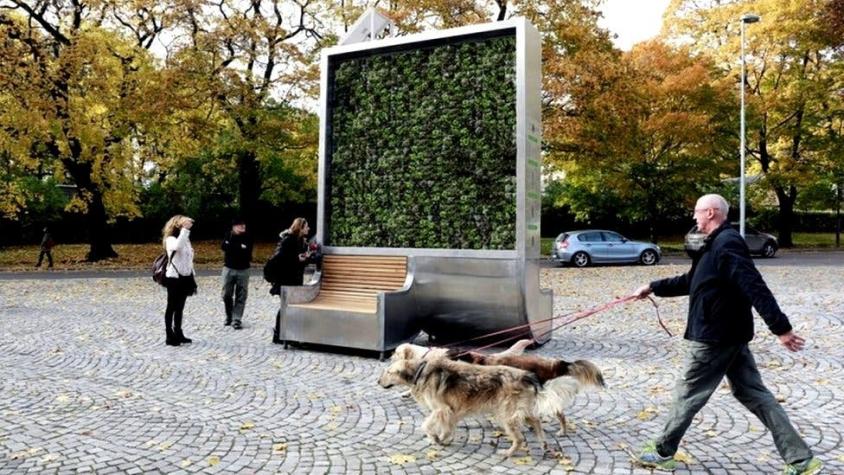 El árbol creado en Alemania que absorbe la contaminación como si fuese un pequeño bosque