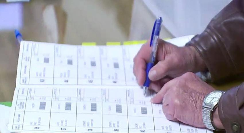 [VIDEO] Primarias: Chilenos ya votan en el extranjero