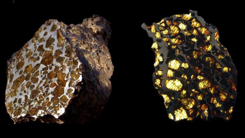 El meteorito chileno que destaca en el Museo de Historia Natural de Londres