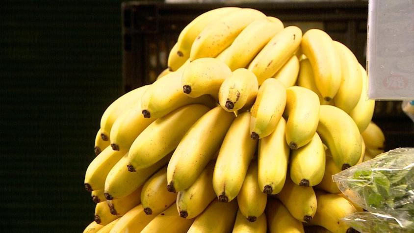 [VIDEO] El plátano es la fruta más consumida por los chilenos