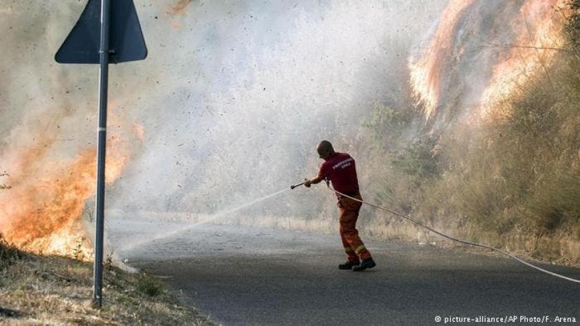 Incendios golpean a Italia, Croacia y Montenegro
