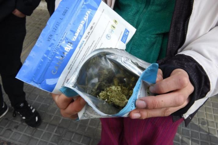 Se dispara registro de compradores de marihuana en Uruguay