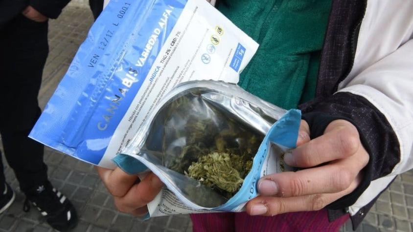 Quién puede comprar y otras 3 preguntas sobre la venta de marihuana recreacional en Uruguay