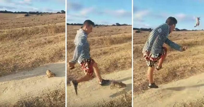 Policía Española busca a joven que pateó brutalmente a un conejo como si fuera una pelota