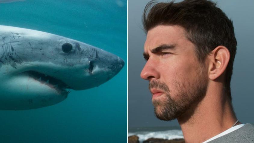 Michael Phelps y otros decepcionantes duelos entre hombres y animales