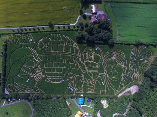 Granjero inglés crea gigantesca imagen de Star Wars en un campo de maíz