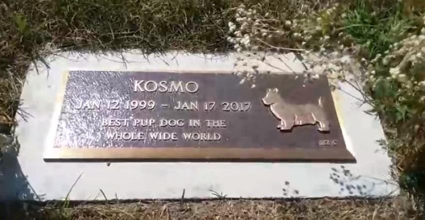 Filmaba un paseo por el cementerio de perros y se llevó una increíble sorpresa