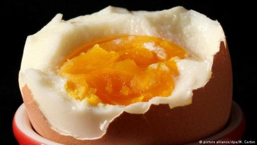 Fipronil en los huevos: poco apetitoso