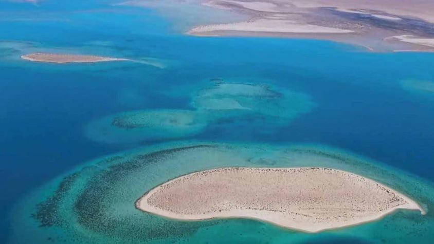 Arabia Saudita planea convertir el Mar Rojo en un complejo turístico de lujo