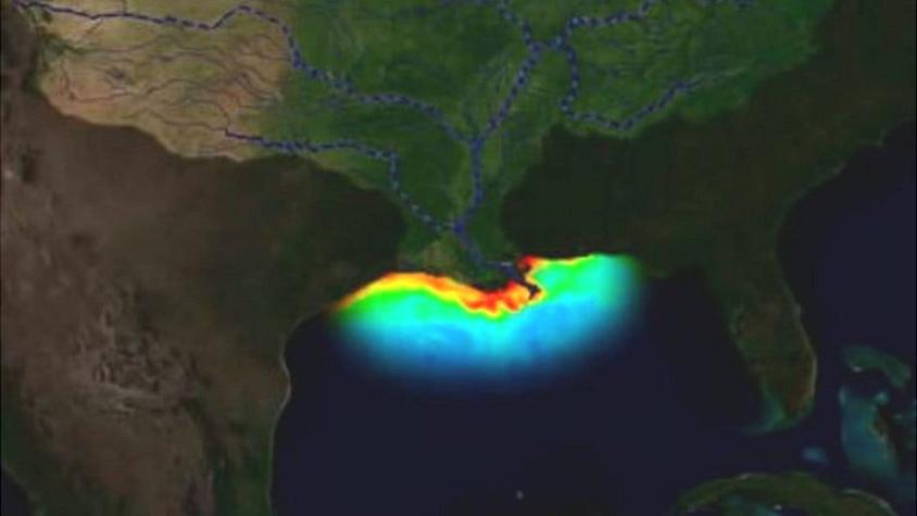 La "zona muerta" del golfo de México: área que preocupa a científicos por la vida marina